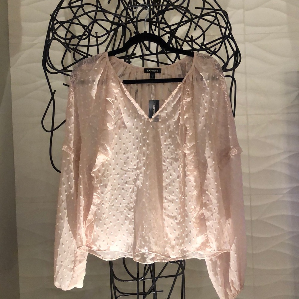 NWT Express Sheer Light Pink Blouse